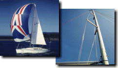 �}�����֘A���Ƃ̏Љ�ʐ^