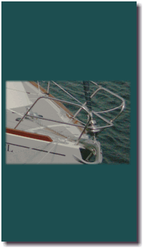 �o�E�p���s�b�g�ʐ^