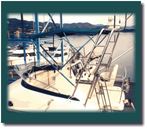 �N�|�����[�_�[�Q�[�g���܂肽���ݎ��\�t�g�I�[�j���O��̌^___��t����ʐ^�i�W�J��ԁj