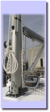 �N���[�W���O�^�C�v�}�X�g�����t�ߎʐ^