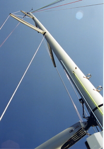 ���[�V���O�^�C�v�}�X�g�ʐ^